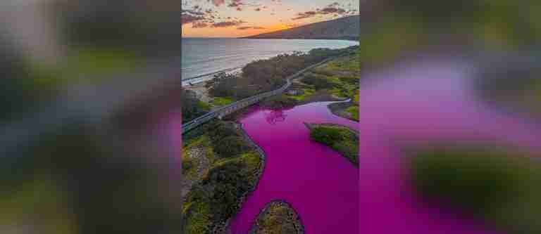 El misterioso cambio de color de un estanque en Hawái genera intriga a científicos