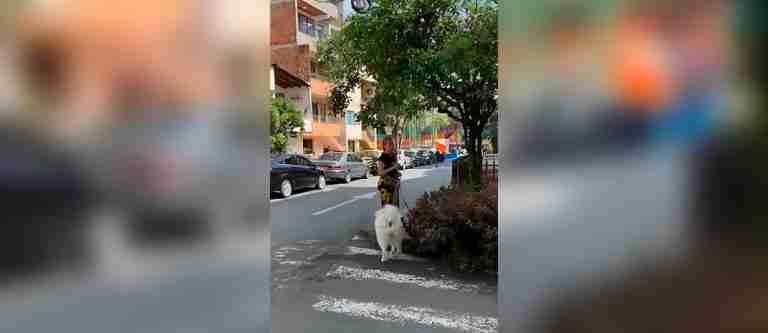 ¡Qué mala vecina! Mujer abandona los excrementos de sus mascotas en las calles de Sabaneta