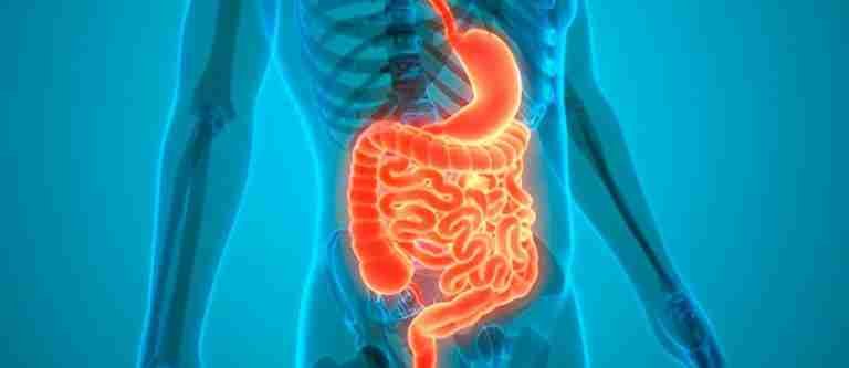10 de noviembre: Día Internacional contra el Cáncer Neuroendocrino