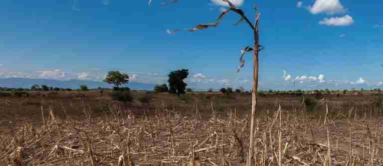 “El Niño persiste hasta abril de 2024”, según la OMM