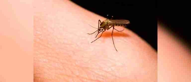 Alerta por aumento de casos de malaria en Colombia