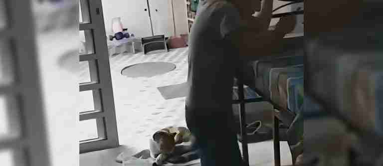 ¡Susurrando! Niño le pide ayuda a Alexa para resolver una tarea de matemáticas a escondidas de su mamá