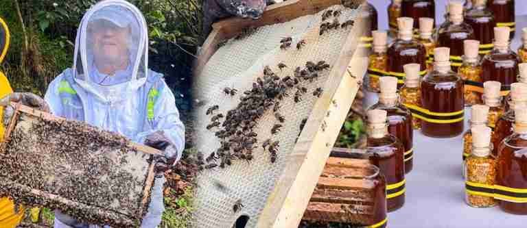 Envigado le apuesta a la conservación de la biodiversidad con el primer apiario comunitario del país