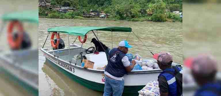 Defensoría le pide al ELN levantar paro armado en Chocó