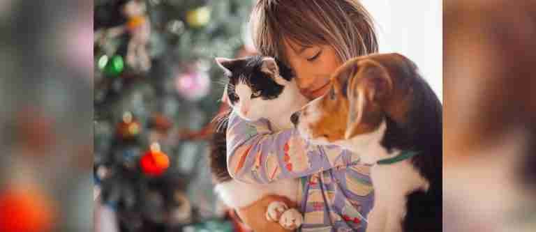 ¿Perros vs. gatos? Estudio reveló cuál es el favorito 