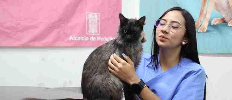 Luego de ser maltratado, ‘Pelusa’ encontró un nuevo hogar