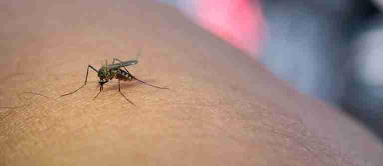Nuevos lineamentos para la prevención y control de la malaria en Colombia
