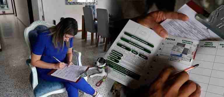 Suspenden temporalmente los servicios de vacunación antirrábica del Multicentro Caribe