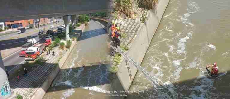 ¡Qué valiente! Hombre se lanzó al río Medellín para salvar a un perrito