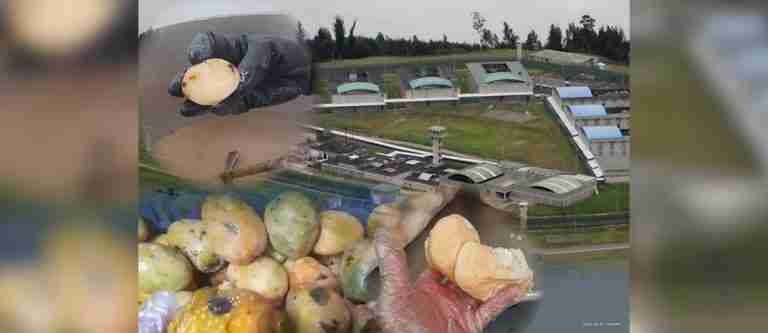 Procuraduría alerta escasez de alimentos en cárcel de Cómbita