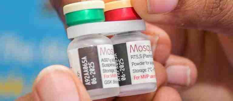 La OMS ha precalificado una segunda vacuna contra la malaria