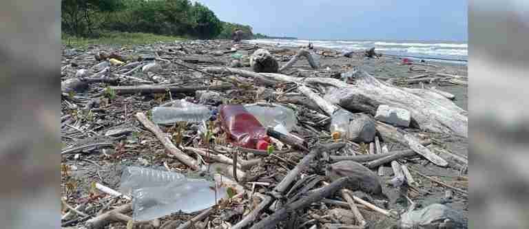 La Defensoría alerta la tala indiscriminada de manglares en San Bernardo del Viento