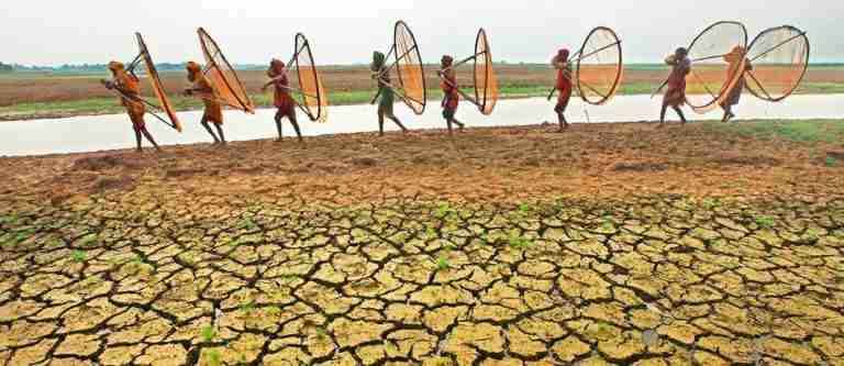 La ONU alerta que la sequía se ha convertido en una «emergencia sin precedentes a escala global»