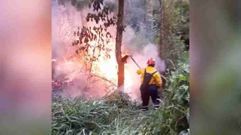 26 incendios forestales ponen en alerta naranja a Barbosa