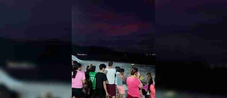 ¿Peces habrían alertado el sismo queriendo salir del mar en Filipinas?