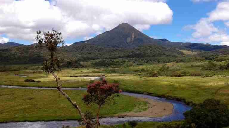 Registran nueva ave para Colombia en Santa Rosa, Cauca