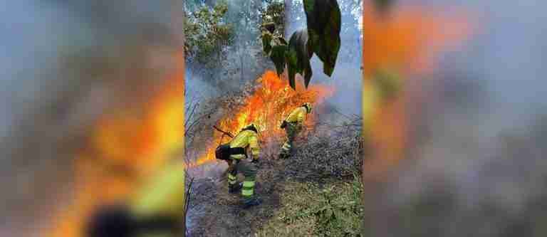 Esta tarde, Bomberos Medellín atendió 5 emergencias por incendios forestales