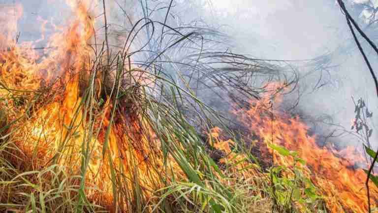 ¡Atención! Bomberos Medellín atiende a esta hora cuatro incendios forestales