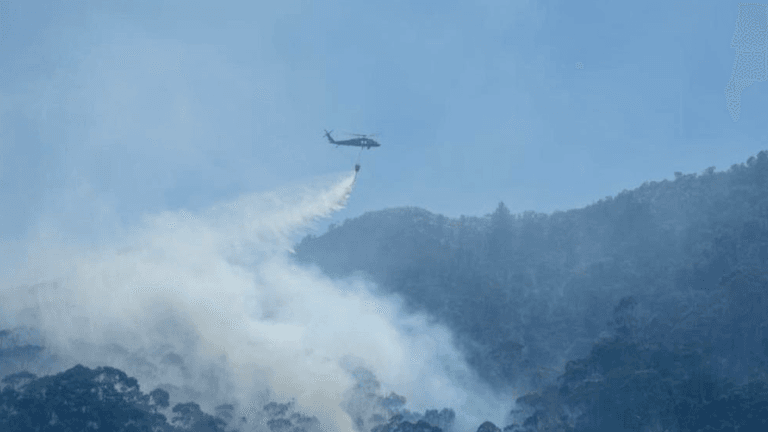 “Incendios eran previsibles”. Regaño de la Procuraduría
