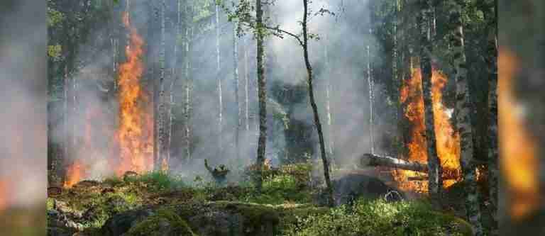 ¡Atención! 747 municipios del país están en alerta por amenaza de incendios forestales