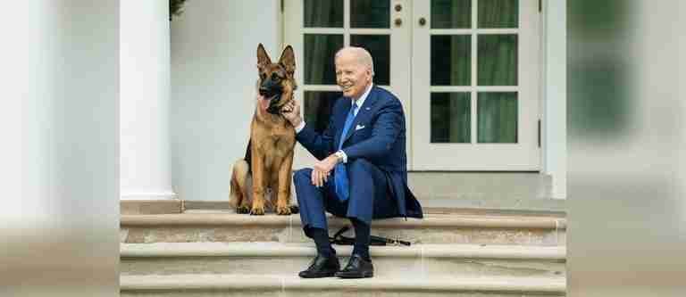 Commander, el perro expulsado de la Casa Blanca por morder a 24 funcionarios