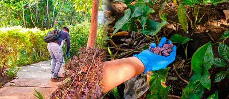 Envigado realiza jornadas de sensibilización para mejorar la gestión de residuos y controlar plagas