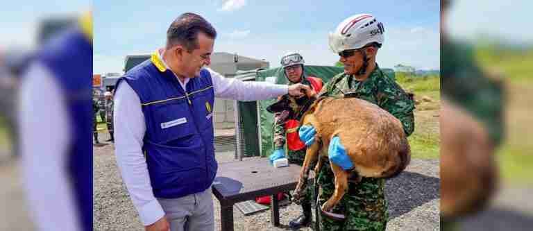 UNGRD da algunas recomendaciones para proteger los animales durante el fenómeno El Niño