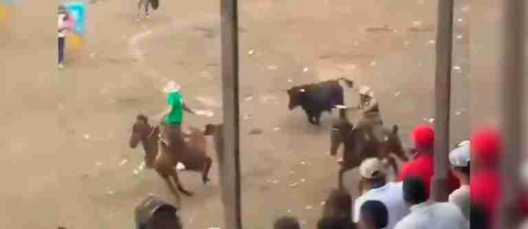 Tragedia en corralejas de Cereté deja un caballo muerto