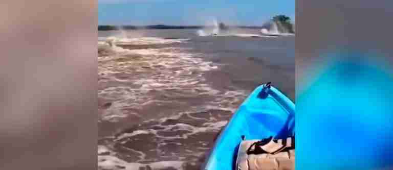 Criatura sorprende en el río Amazonas, ¿de qué se trata?