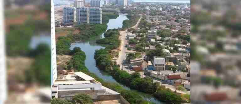 Concejales de Cartagena exigen protección urgente para los mangles de la ciudad