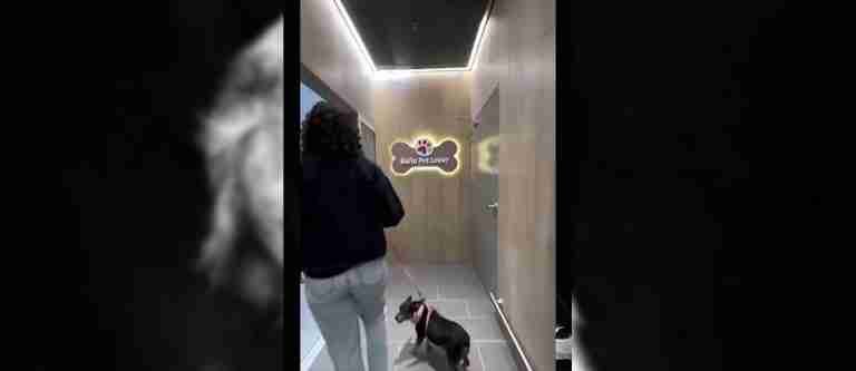 ¡El primer baño exclusivo para mascotas!
