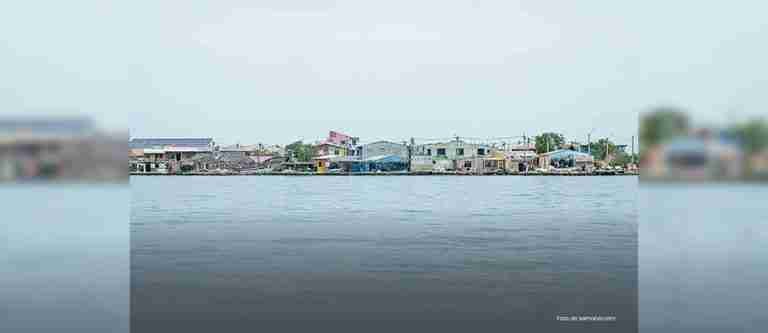 Procuraduría solicita respuestas por denuncias de maltrato animal a especies marinas en isla de Cartagena