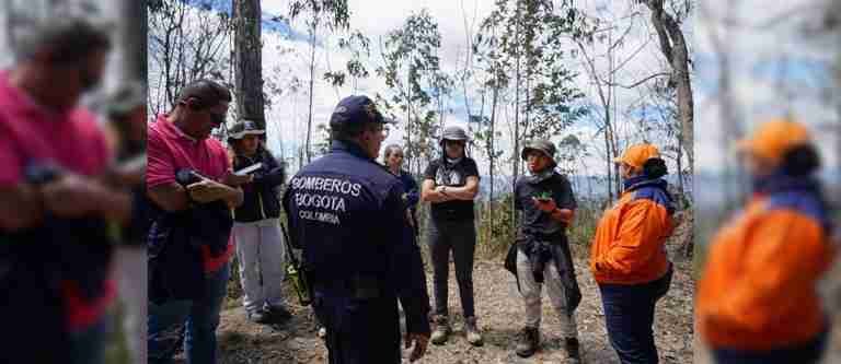 Informe de la UNGRD: estado actual de emergencias forestales en 2024