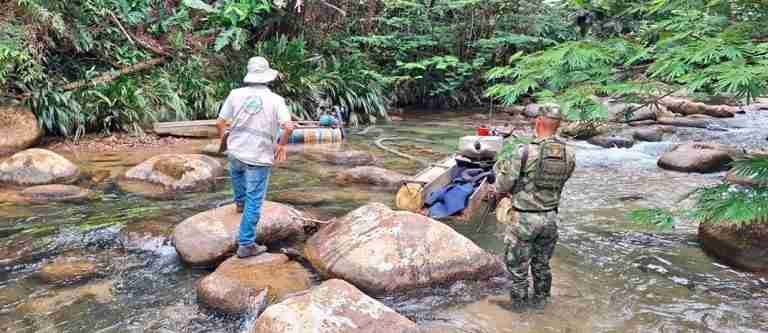Cinco personas fueron capturadas en Antioquia, por presunto aprovechamiento ilícito de los recursos naturales