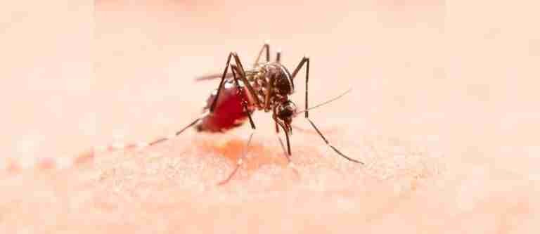 Emergencia sanitaria por aumento exponencial de casos de dengue en Santander