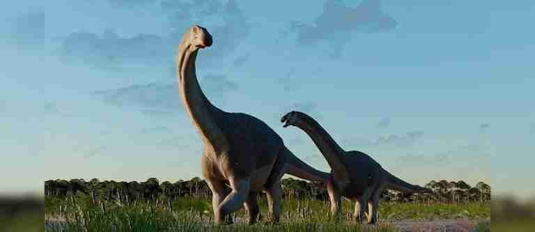 Descubrieron restos de un titanosaurio de hace 66 millones de años en Argentina