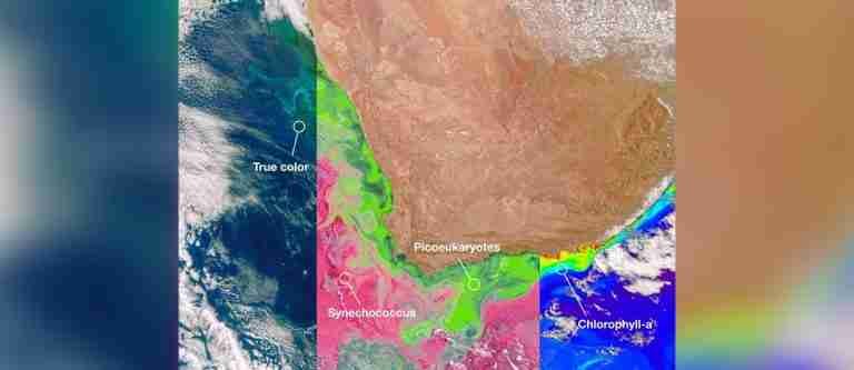 Desde el espacio: Así estudia la NASA nuestros océanos