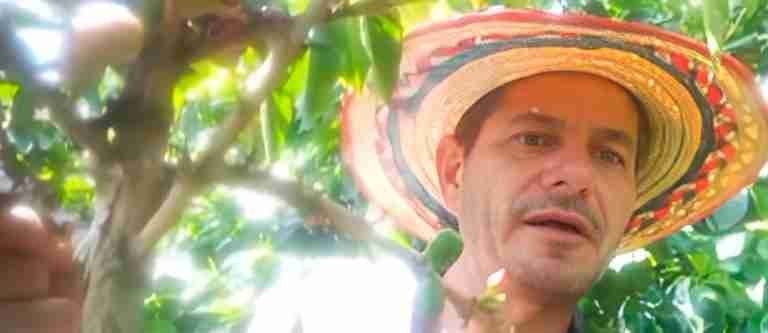 Plantón cafetero ¡va, porque va!