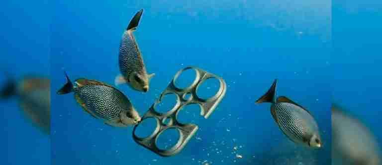 Los anillos para latas que prometen salvar a los animales: totalmente biodegradables y comestible