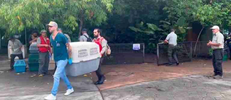 Costa Rica cierra sus zoológicos estatales para proteger la vida silvestre