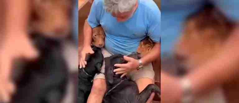 Hombre que arriesgó su vida para rescatar a «sus cuatro hijos»
