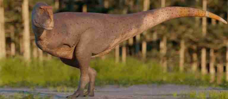 Dinosaurio con brazos diminutos fue descubierto en Argentina