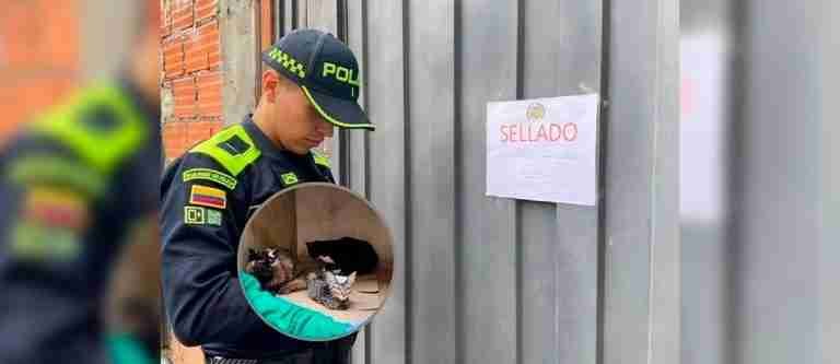 Operativo en Avenida Caracas revela maltrato animal y clausura cuatro comercios