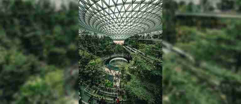 Verde desde el suelo hasta el cielo: descubre Singapur, una ciudad sostenible