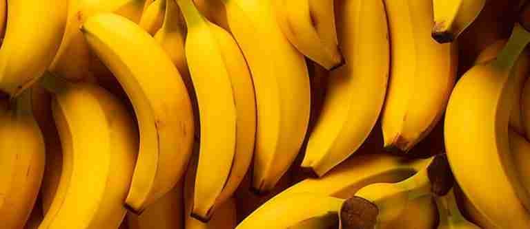 Crisis del sector bananero colombiano 