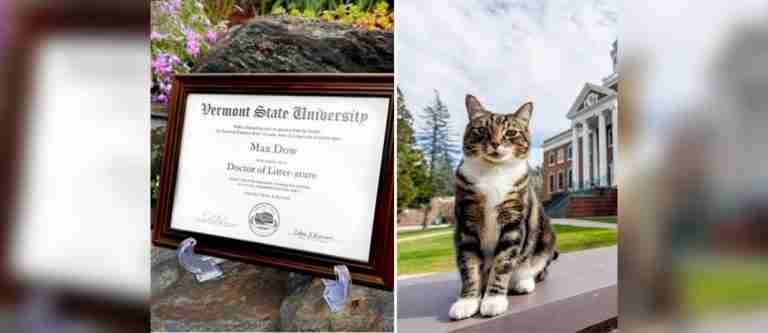 La Universidad Estatal de Vermont otorga doctorado honorífico a Max, el gato de Castleton