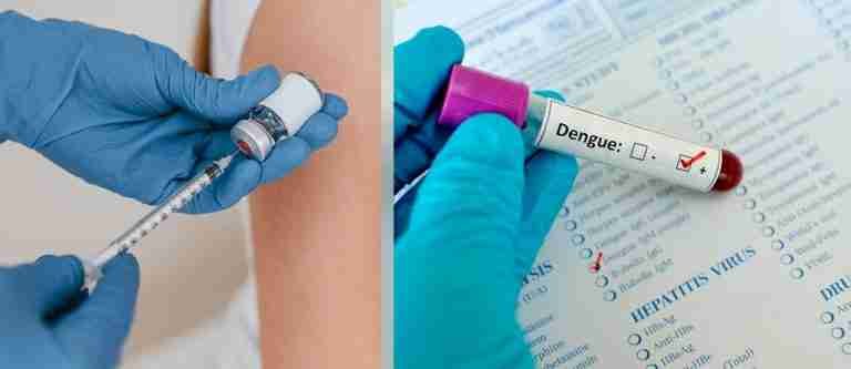 Nueva vacuna contra el dengue recibió la precalificación de la OMS