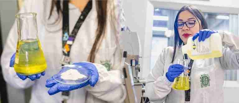 Aceite de uva, transformado en la UdeA, permitiría prevenir la obesidad