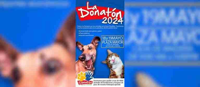 Habrá Donatón por los animales en Plaza Mayor este fin de semana 