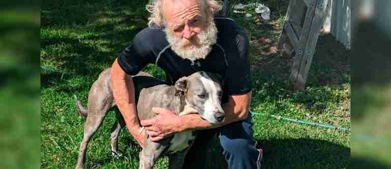 ¡Heroico! Perro recorre 6 km para salvar a su dueño
